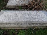 image of grave number 446356